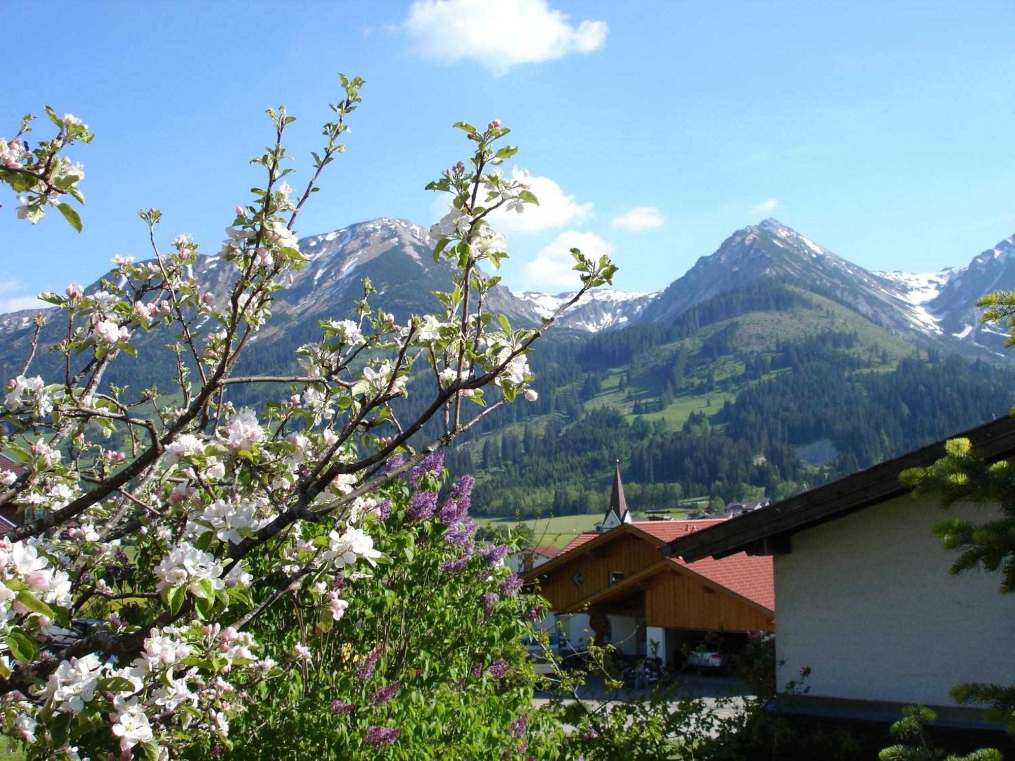 Auf Der Sonnenseite Apartamento Schattwald Exterior foto